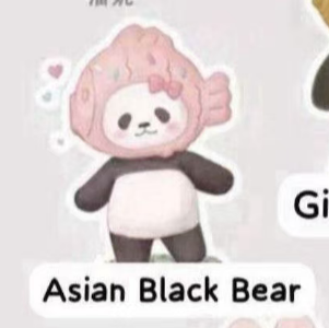 CP3 PanPan Planet Bear Stand by Me 0330