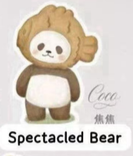 CP3 PanPan Planet Bear Stand by Me 0330