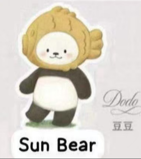 CP3 PanPan Planet Bear Stand by Me 0330