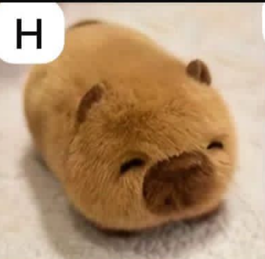 cp1 Cute run run animal plush 0401