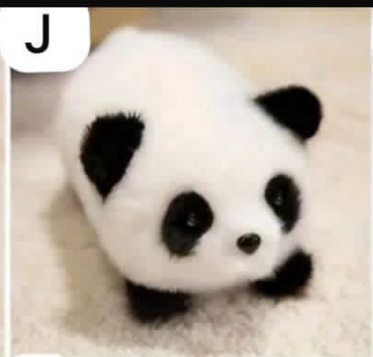 cp1 Cute run run animal plush 0401