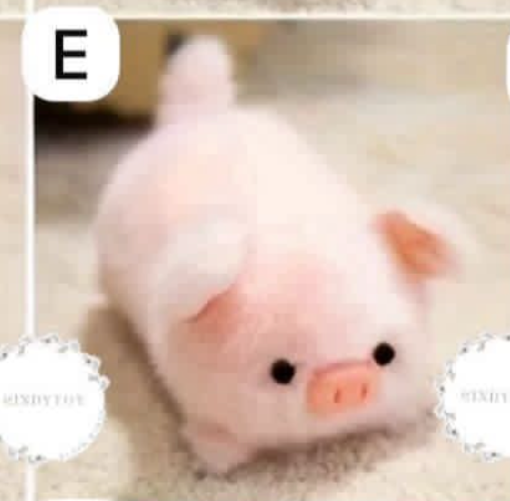 cp1 Cute run run animal plush 0401