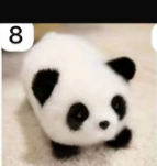 CP2 Cute run run animal plush 0403