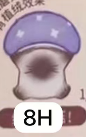 CP4 Cat pal mushroom 0405