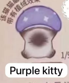 CP5 Cat pal mushroom 0405