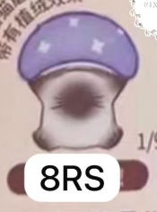 CP3 Cat pal mushroom 0405