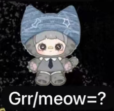 CP7 Maymei Kitten Academy 0415