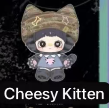 CP5 Maymei Kitten Academy 0415