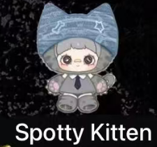 CP4 Maymei Kitten Academy 0415