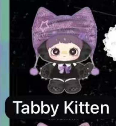 cp8 Maymei Kitten Academy 0415