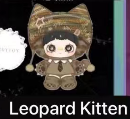 cp8 Maymei Kitten Academy 0415