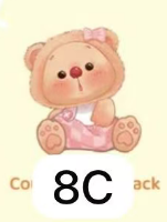 CP2 Oyo portable bag 0416