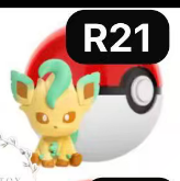 CP6 Pokemon little meeting beans 0607
