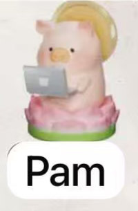 CP1 Lulu pig office 0513