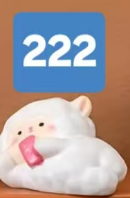 Cp6 SHEEP 0531