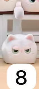 CP1 Honey Cat 0528