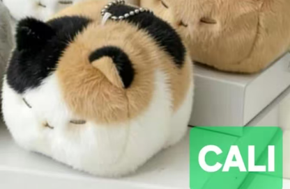 CP1 Cat 0531