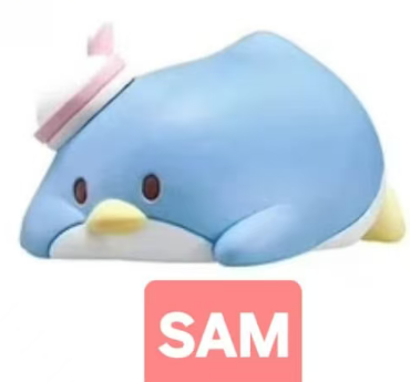 CP1 Sanrio sleep 0603
