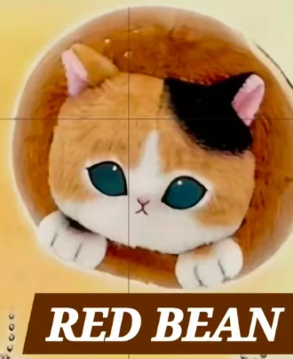 CP1 Mofusand bread cat head 0610