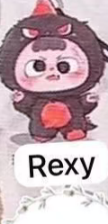 cp2 Heymi Dino Baby 0611
