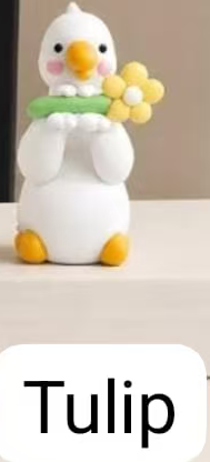 CP1 Goose Flower 0612