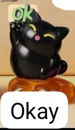 CP1 Black cat symbol 0616
