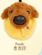 CP1 Big Head Dog 0616