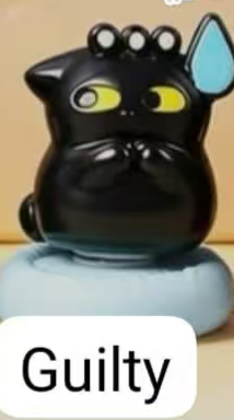 CP5 Black cat symbol 0617