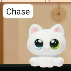 CP 7 Miao hipper 0618