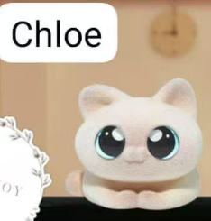 CP 4 Miao hipper 0618