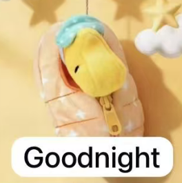 cp1 Snoopy sleeping Bag 0627