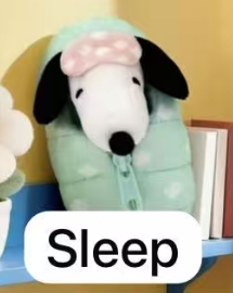cp1 Snoopy sleeping Bag 0627