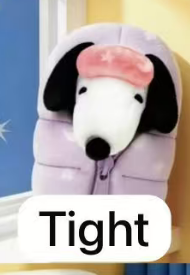 cp1 Snoopy sleeping Bag 0627