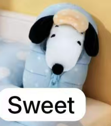 cp1 Snoopy sleeping Bag 0627
