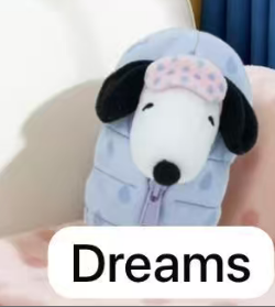 cp1 Snoopy sleeping Bag 0627