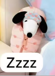 cp1 Snoopy sleeping Bag 0627