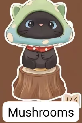 CP1 Good adventure cat 0630