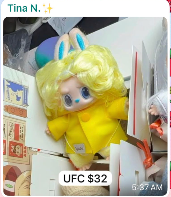 link ufc 7