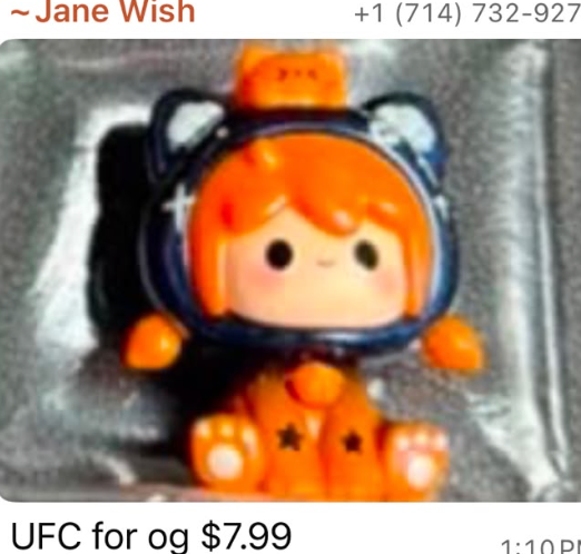 link ufc 7