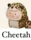 CP7 Lulu Animal Party Mini Beans 0801