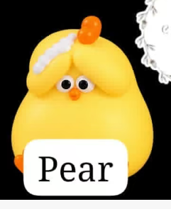 CP1 Chick daily behavior 0811