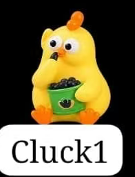 CP3 Chick daily behavior 0811