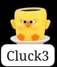 CP3 Chick daily behavior 0811