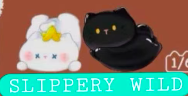 CP1 Cat everywhere 0825