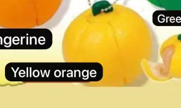 CP 2 Orange 0829