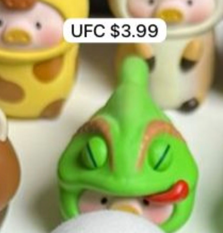 link ufc 8