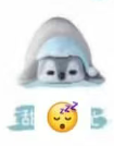 CP3 YoMeedoll little pet penguin 0902