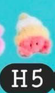 cp2 A Tiny Aquarium 0905