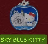 CP1 HK fruity preserved flower 0906