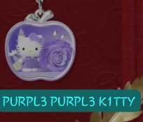 CP1 HK fruity preserved flower 0906